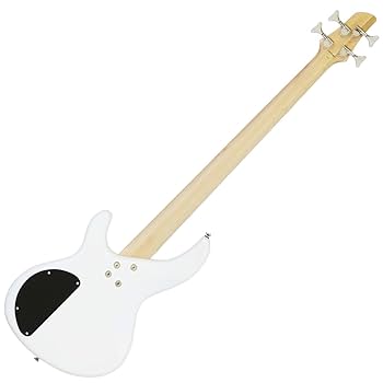 AriaproⅡ IGB-STD III アリアプロ2 おまけ付き IGB-STD III | IGB | Products | ARIA 荒井貿易株式会社 Arai